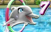 My dolphin show 7